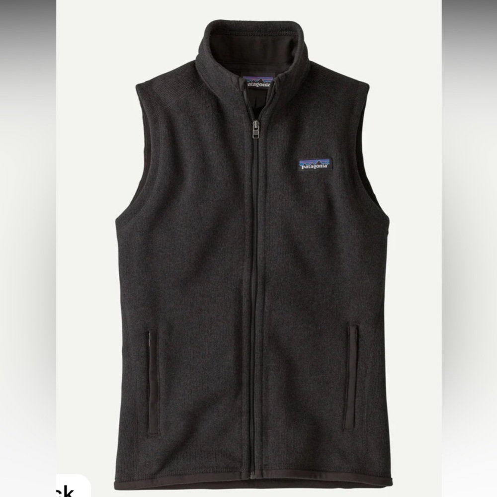 Patagonia Charcoal Fleece Vest